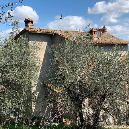 Tranquillita E Relax Vicino A Siena Villa Rosia Екстериор снимка