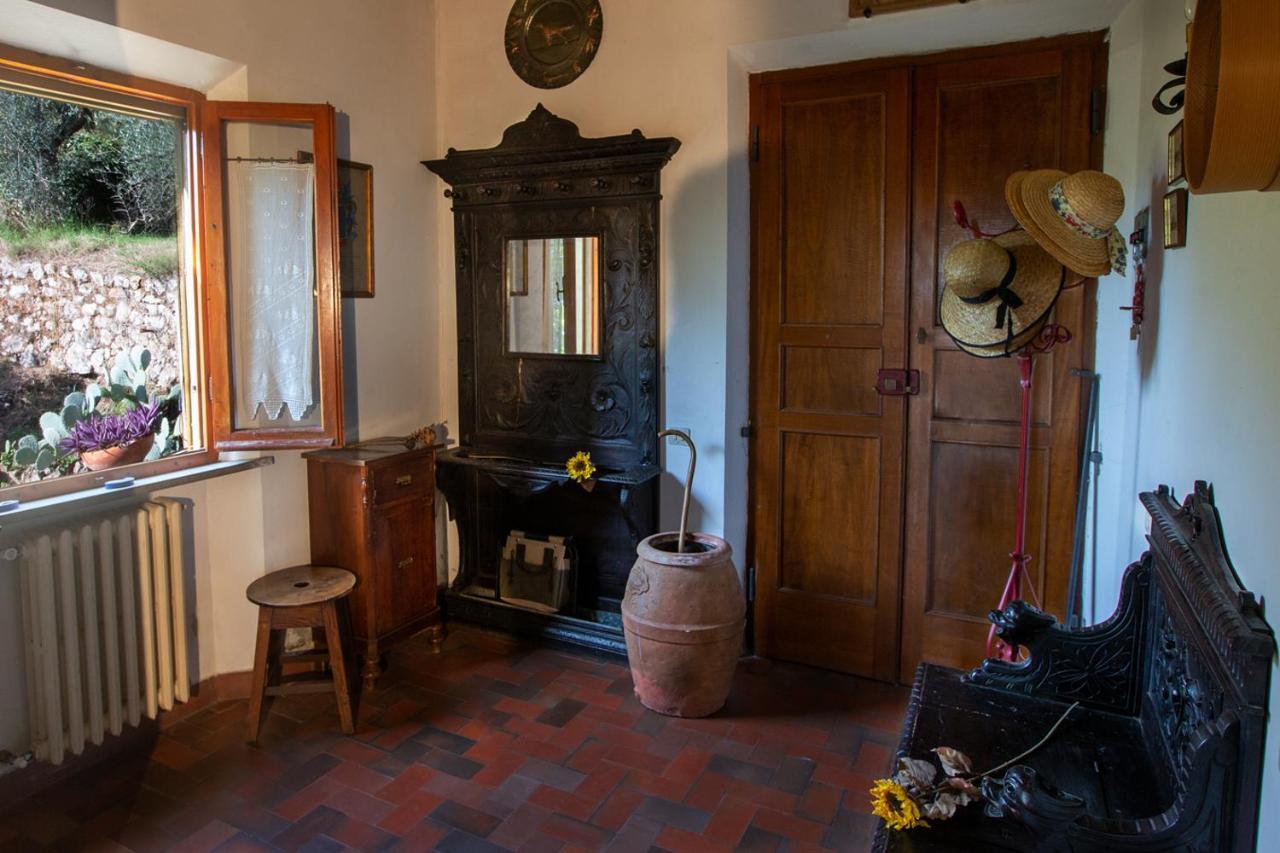 Tranquillita E Relax Vicino A Siena Villa Rosia Екстериор снимка