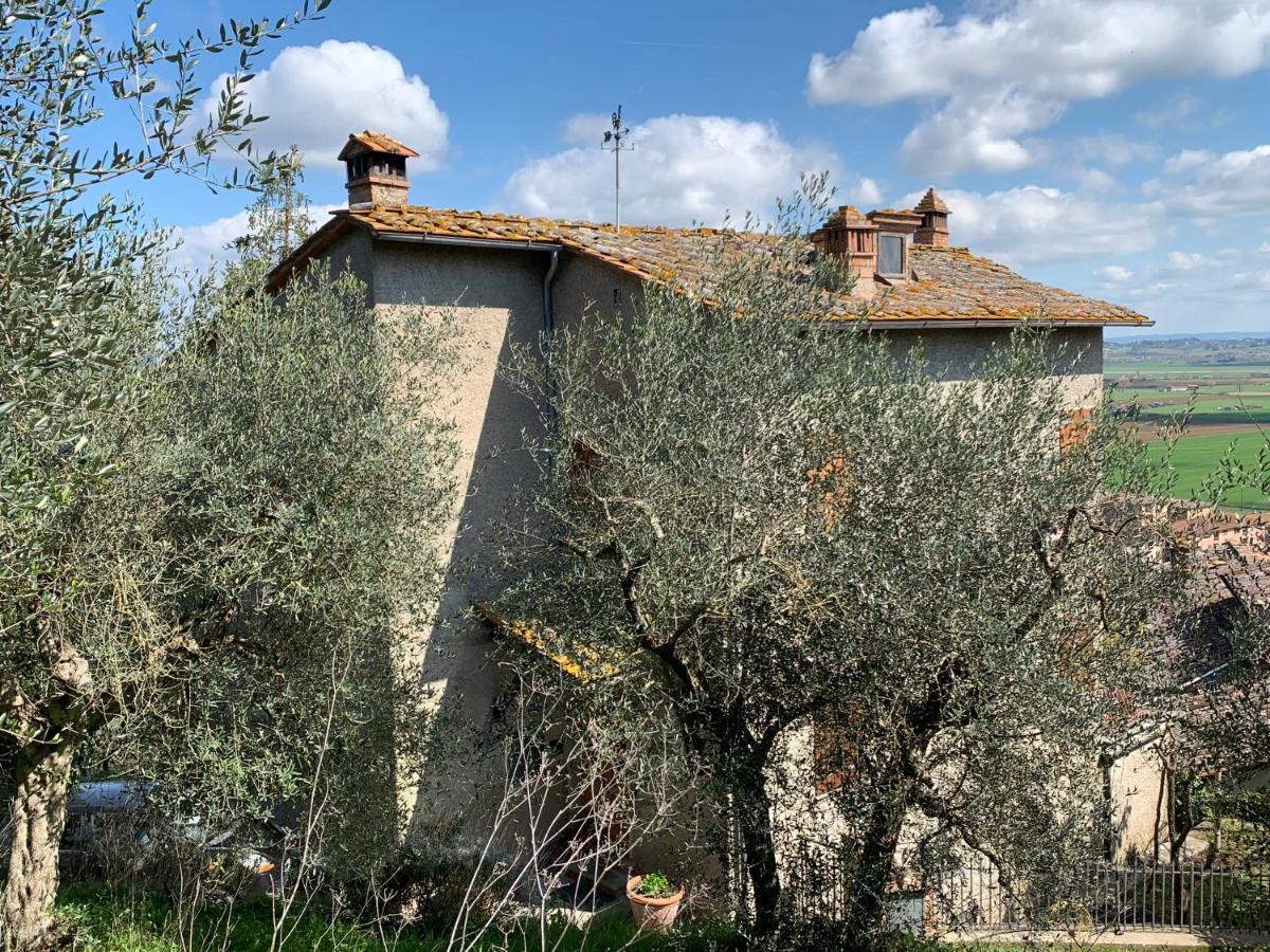 Tranquillita E Relax Vicino A Siena Villa Rosia Екстериор снимка